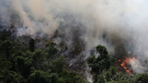 Incendios en el Amazonas causan indignación en redes sociales